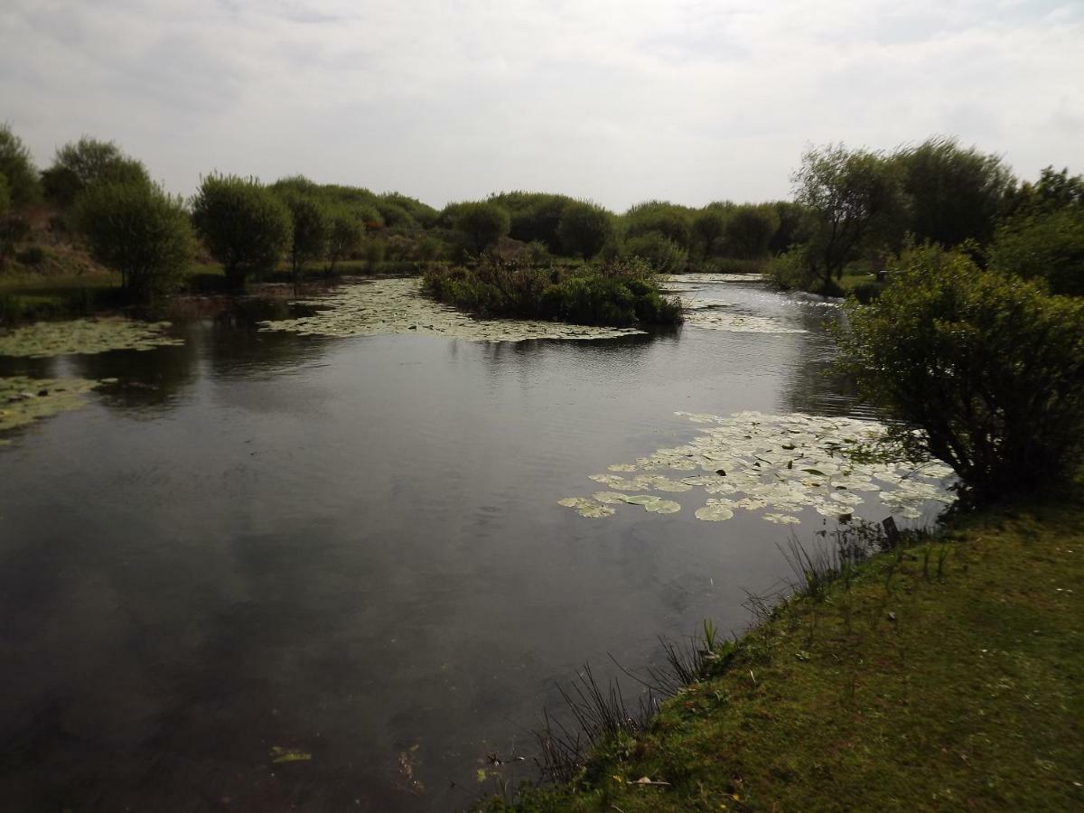 הוילה Kidwelly Marsh Water Ponds Fishery מראה חיצוני תמונה