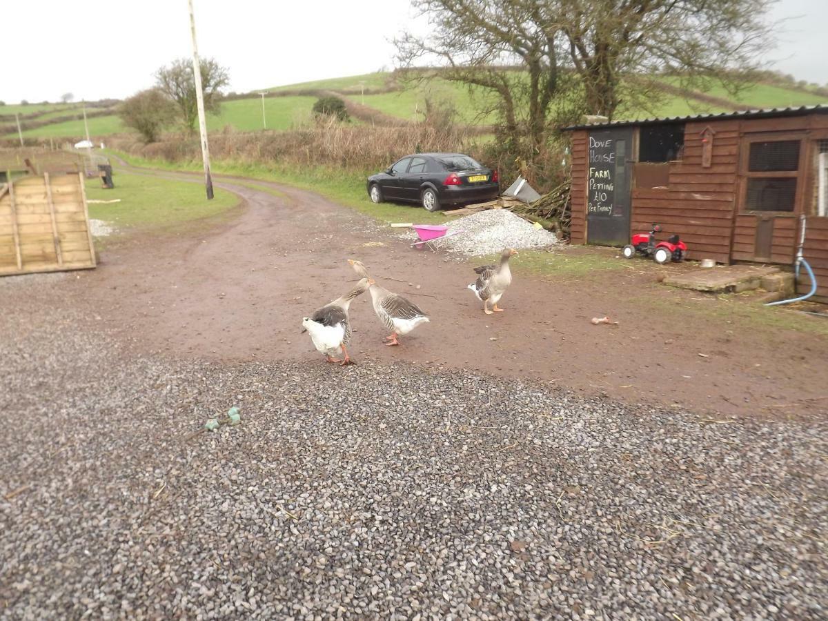 הוילה Kidwelly Marsh Water Ponds Fishery מראה חיצוני תמונה