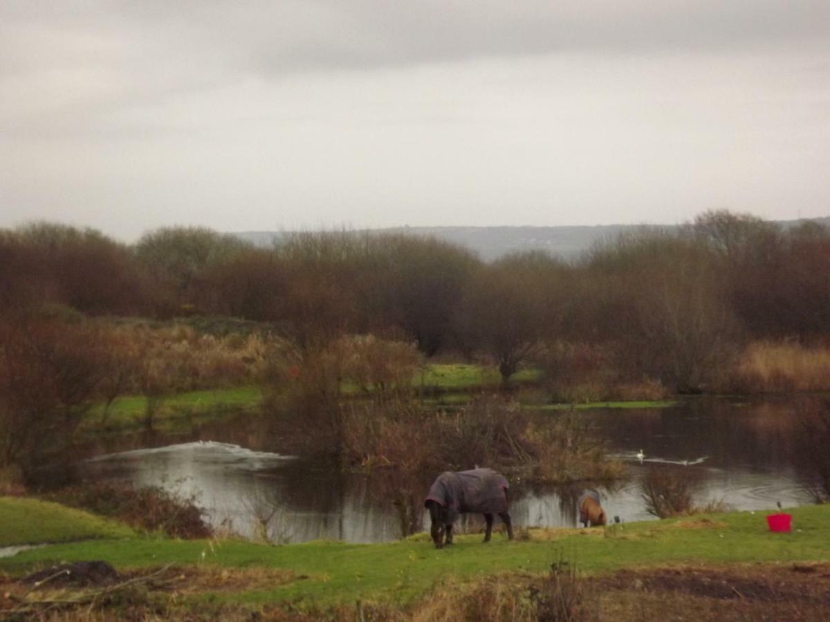 הוילה Kidwelly Marsh Water Ponds Fishery מראה חיצוני תמונה