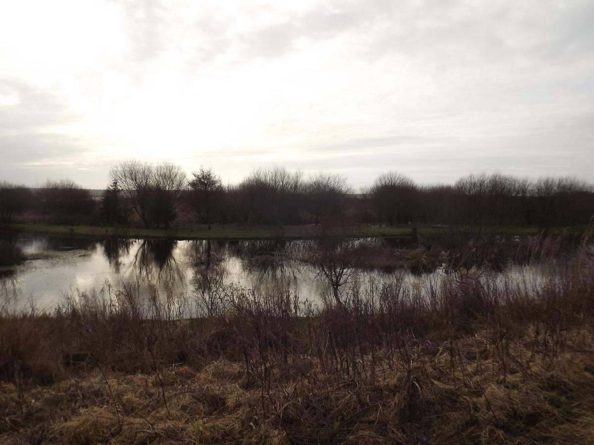 הוילה Kidwelly Marsh Water Ponds Fishery מראה חיצוני תמונה