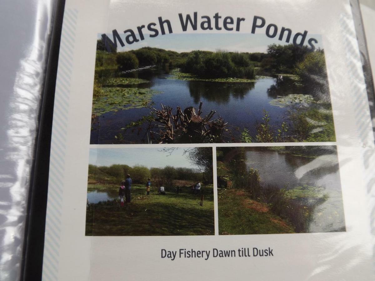 הוילה Kidwelly Marsh Water Ponds Fishery מראה חיצוני תמונה